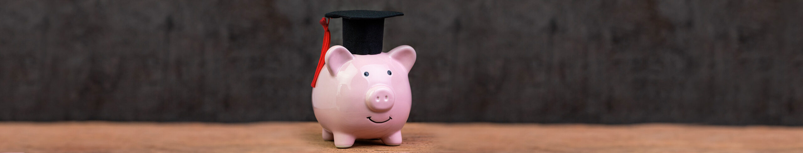 Learn About Situations Where You Might Be Able to Defer Student Loans